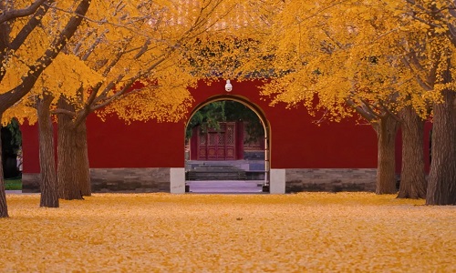 Park-Beijing
